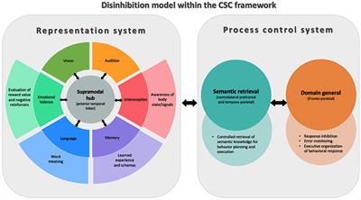 What Do We Mean by Behavioral Disinhibition in Frontotemporal Dementia?